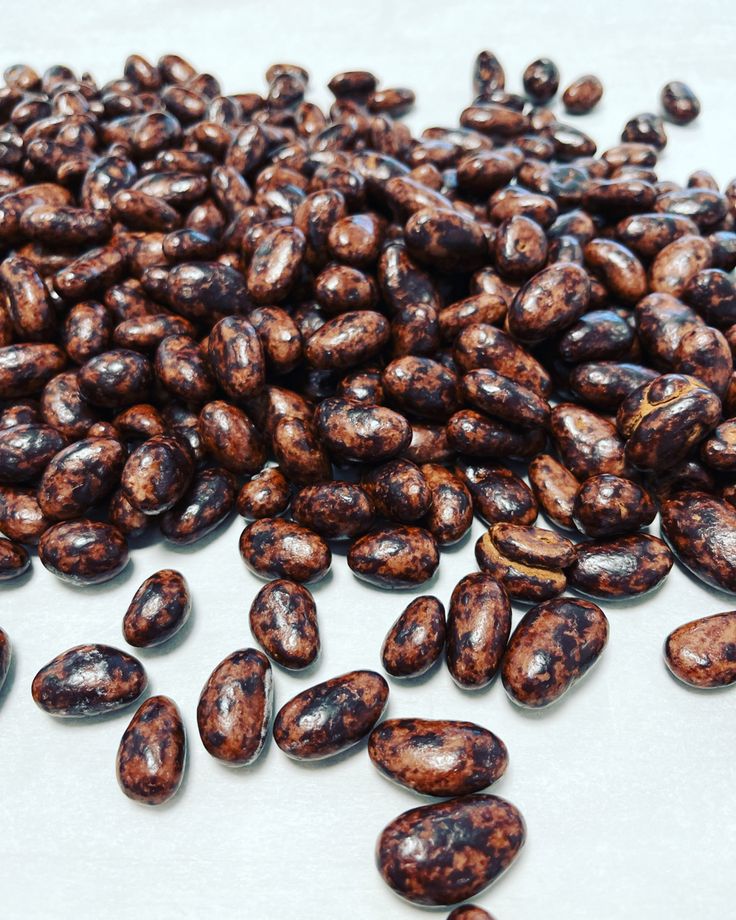 FèVES DE CACAO TORRéFIéES 200G