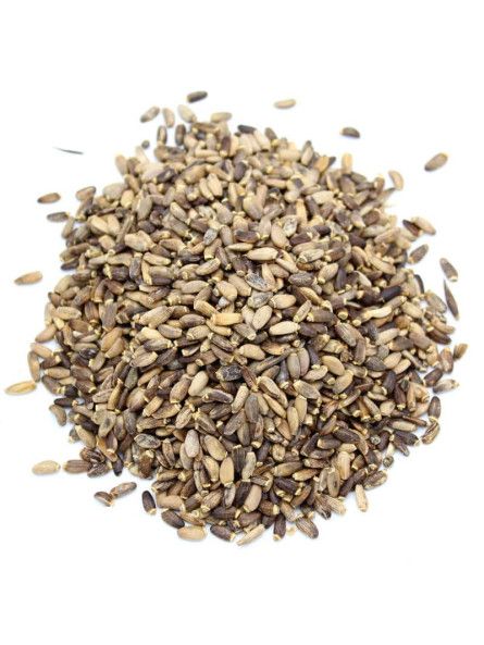 CHARDON MARIE (GRAINE) 100G