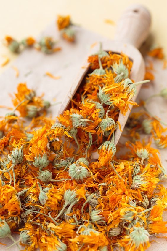 FLEUR DE CALENDULA 50G