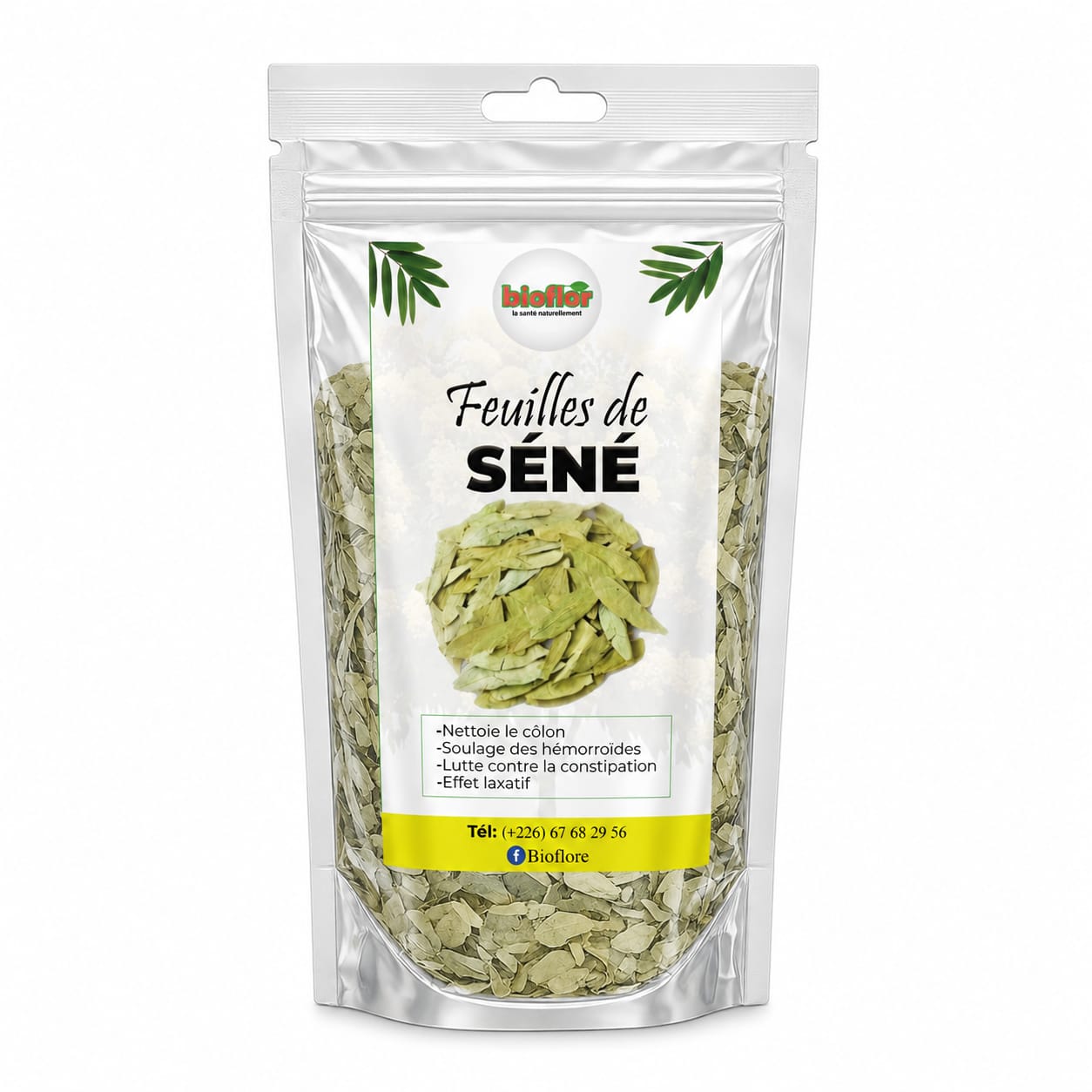 FEUILLES DE SENE MINI