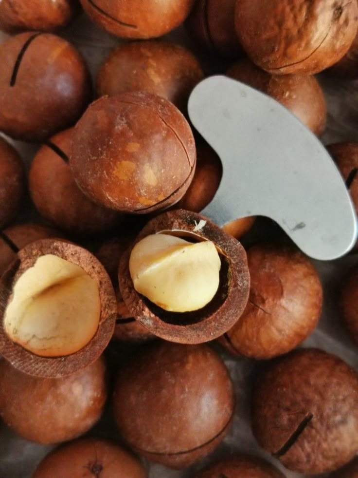 NOIX DE MACADAMIA 500G