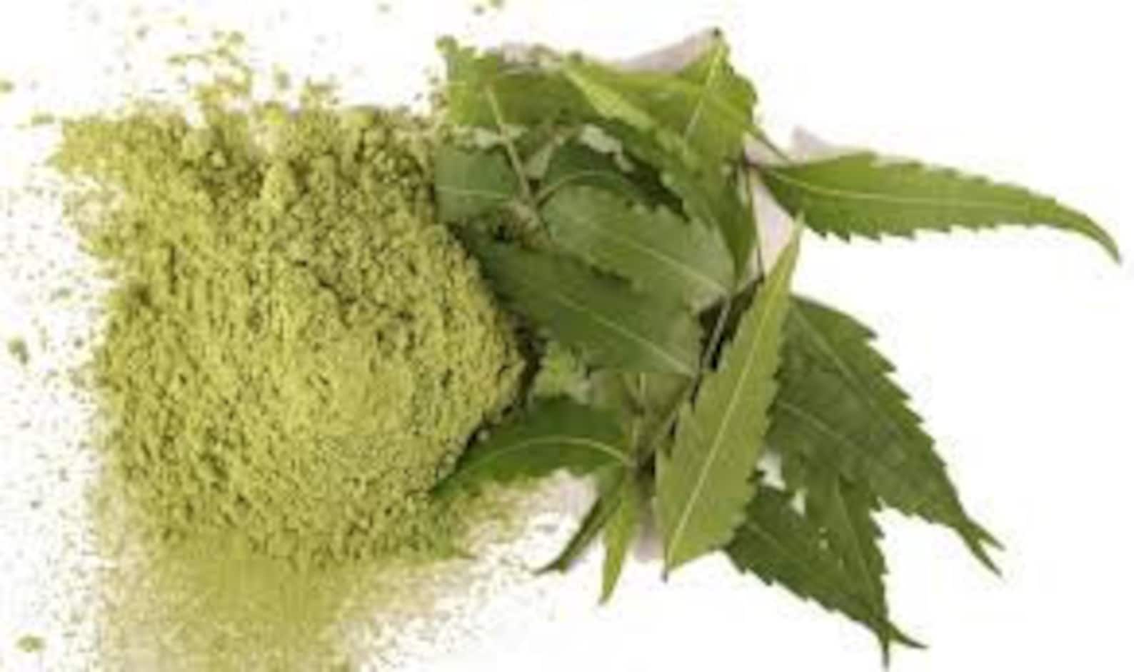 POUDRE DE FEUILLE DE NEEM 250 G