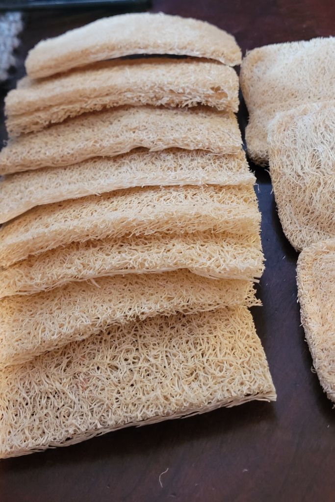 EPONGE VEGETALE BIO "LOOFAH" GRAND PLAT