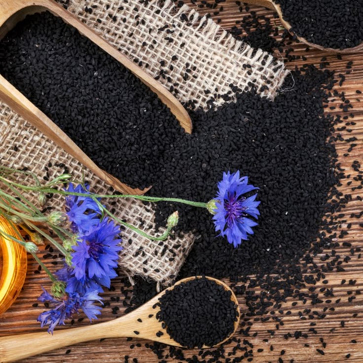 GRAINE DE NIGELLE 100G