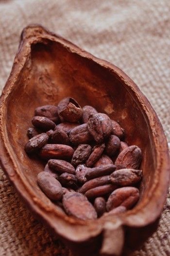 FEVES DE CACAO TORREFIEES 1KG