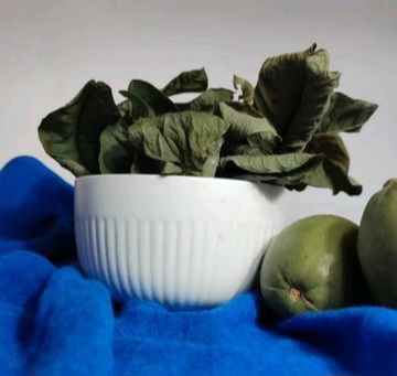 FEUILLES DE GOYAVIER 50G